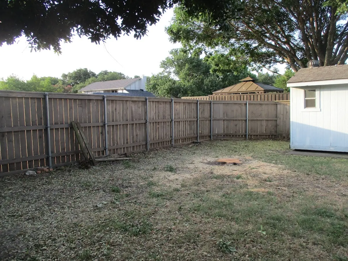 Cleared yard after professional tree removal in Caldwell